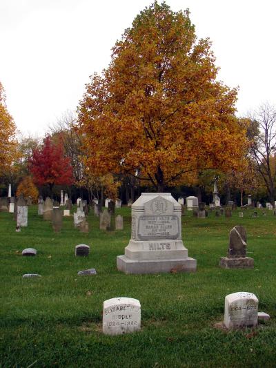 Cemetery in the fall